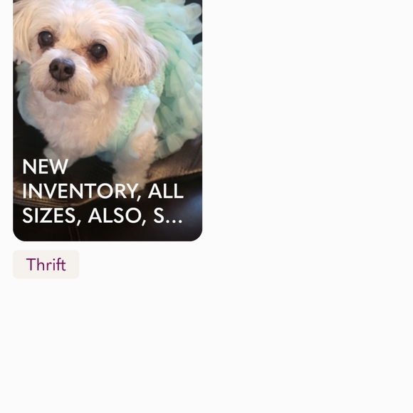 Other - Live at 3 pm